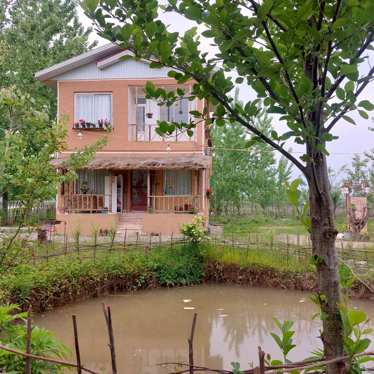 نمای ساختمان