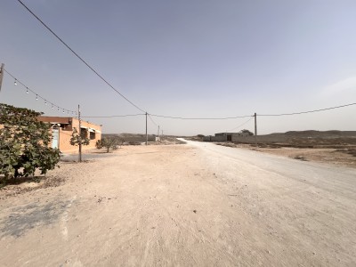 بومگردی مروارید(صدف)