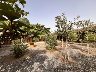 بومگردی مروارید(صدف)