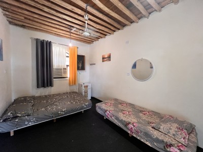 بومگردی مروارید(دلفین)