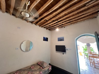 بومگردی مروارید(دلفین)