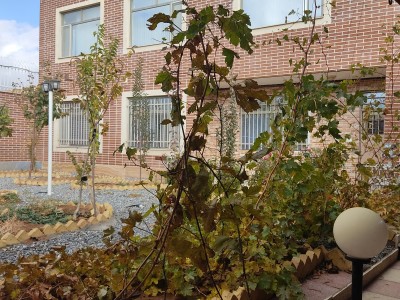 ویلای دو خوابه عمارت دلگشا
