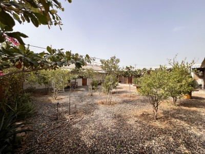 بومگردی مروارید(آلاچیق خرچنگ)