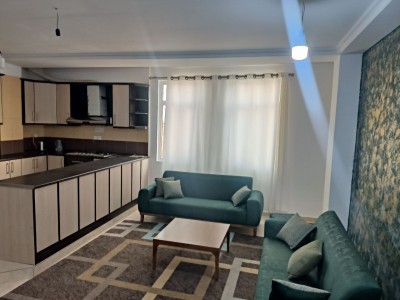 مجموعه اقامتی در شهر قشم واحد (3)