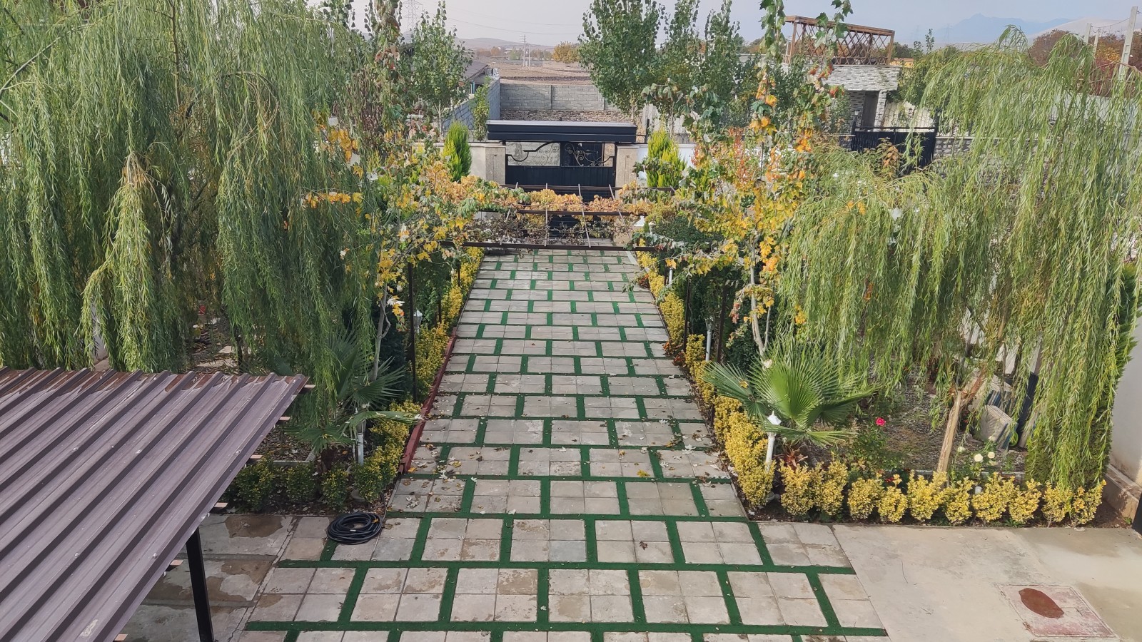 حیاط