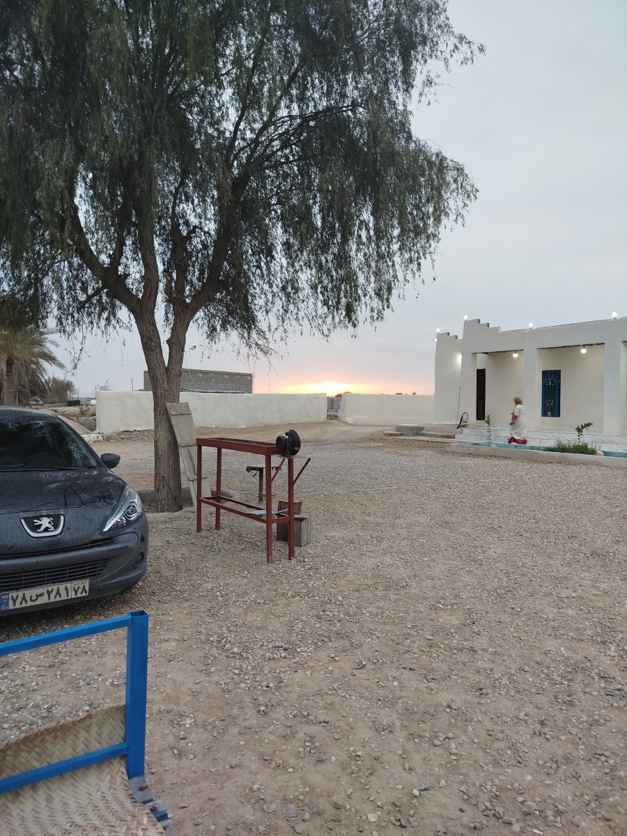 حیاط