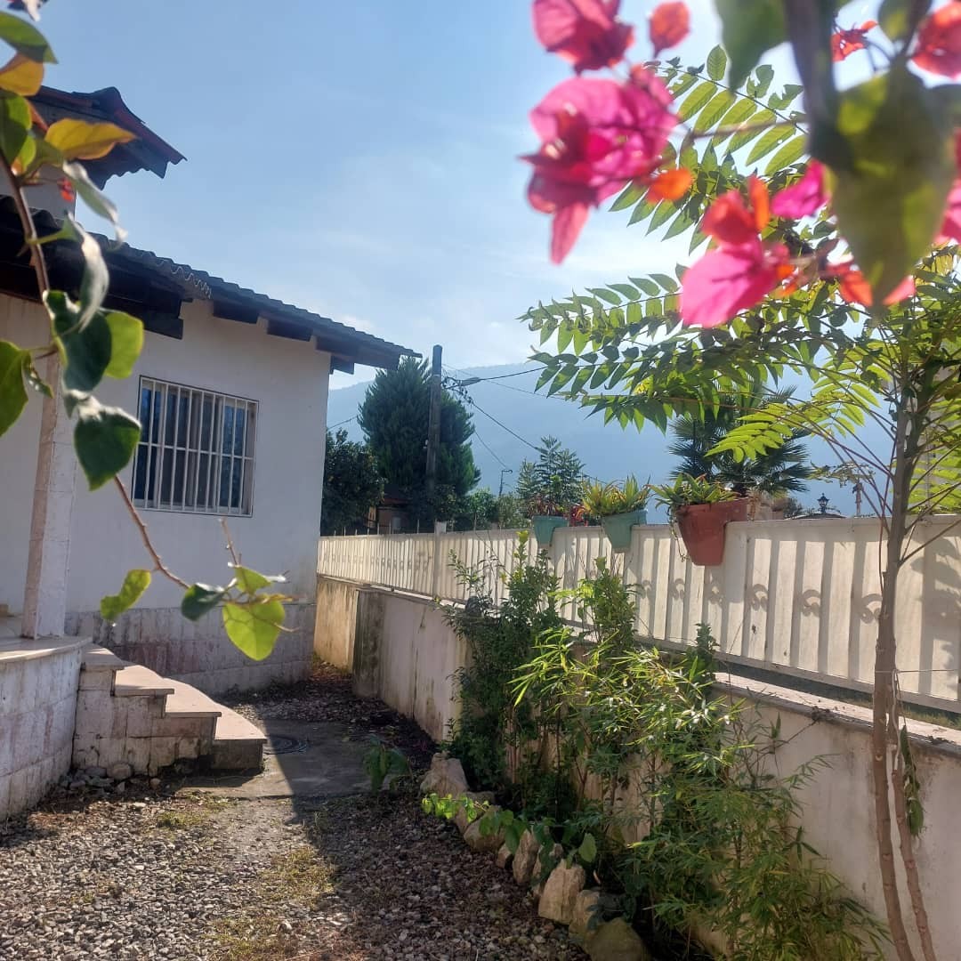 نمای ساختمان نمای ساختمان