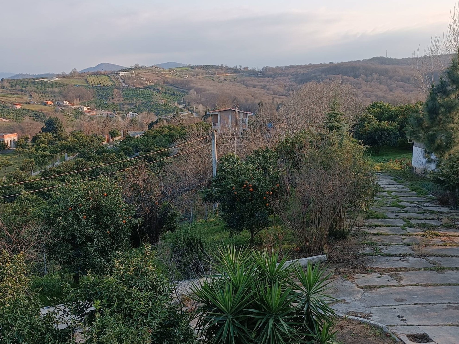 چشم انداز تراس چشم انداز تراس