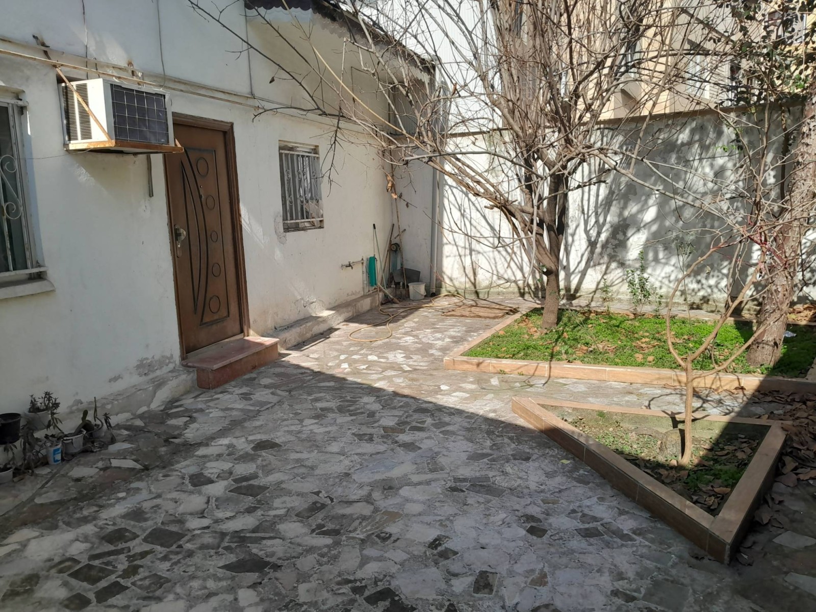 نمای حیاط