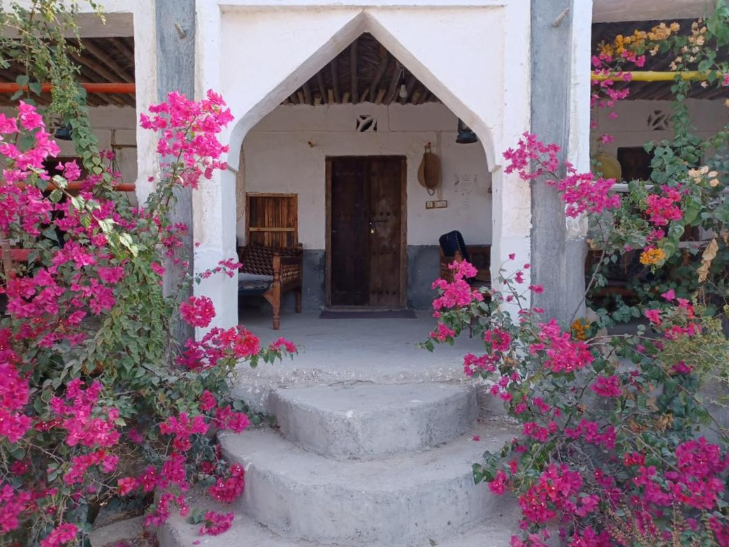 محوطه حیاط