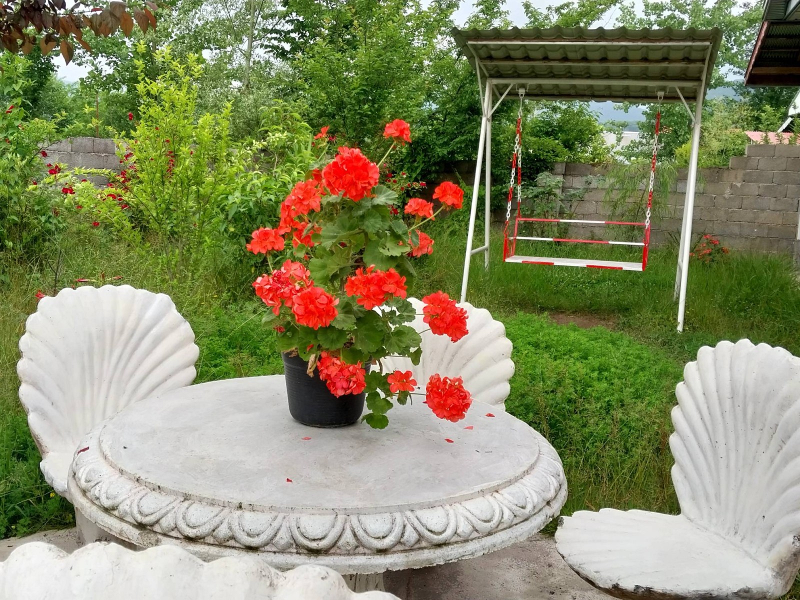 نمای بیرونی ساختمان