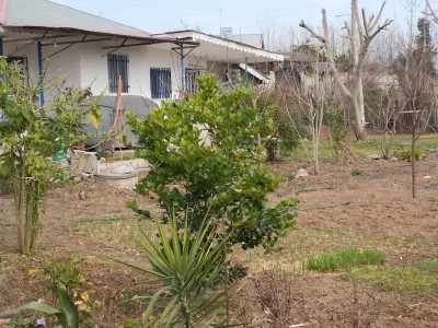 ویلای تک خواب با حیاط دلباز ویلای تک خواب با حیاط دلباز