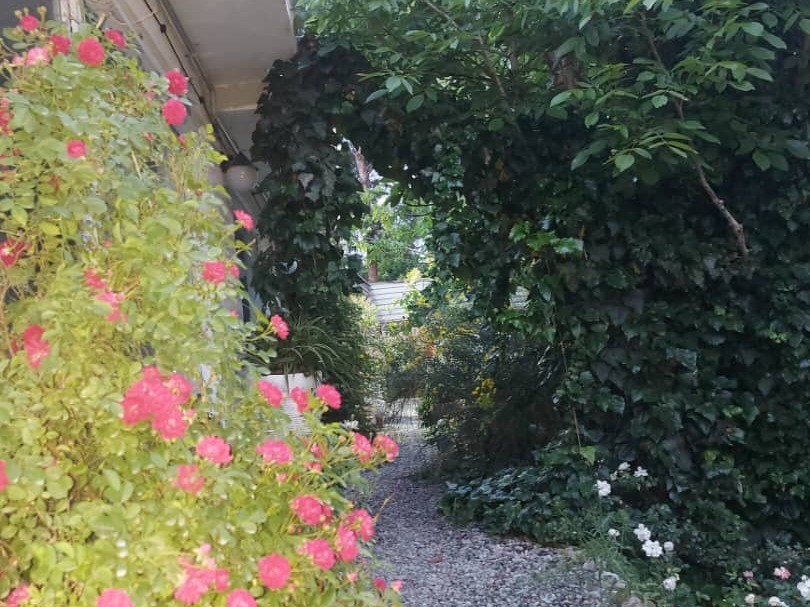 محوطه