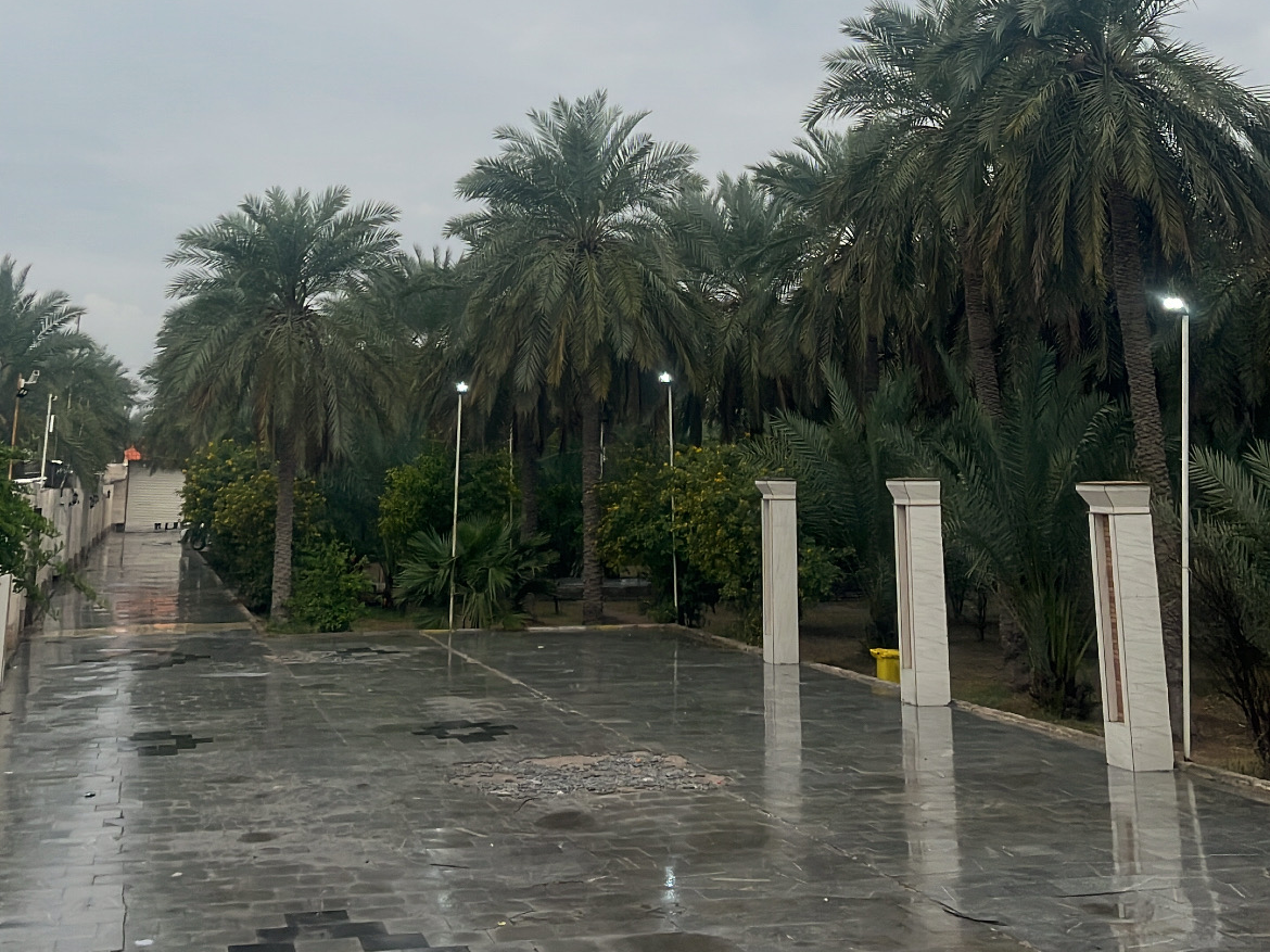 حیاط