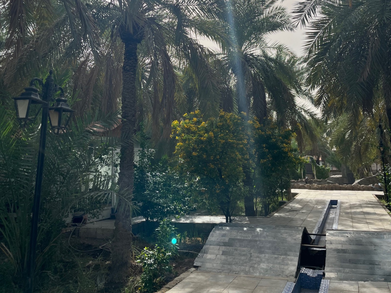 حیاط