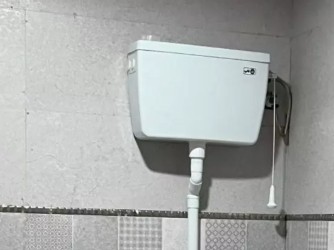 سرویس بهداشتی