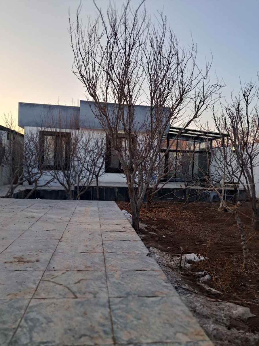 حیاط