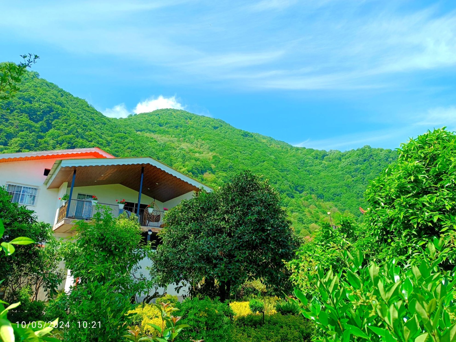 نمای پشتی ساختمان نمای پشتی ساختمان