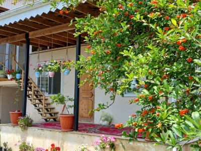 منزل ویلایی دربست در منطقه ای خوش آب و هوا