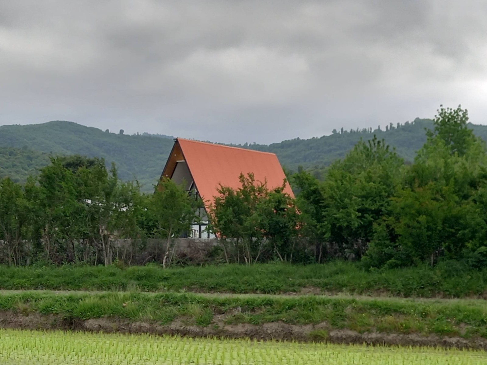 نمای بیرونی ساختمان نمای بیرونی ساختمان