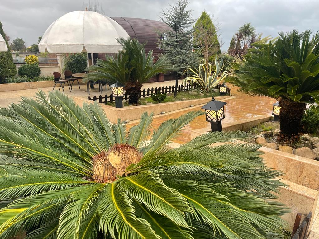 محوطه