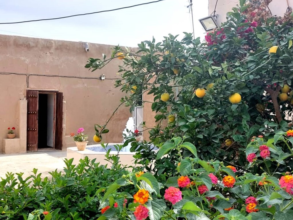 نمای مجموعه و حیاط