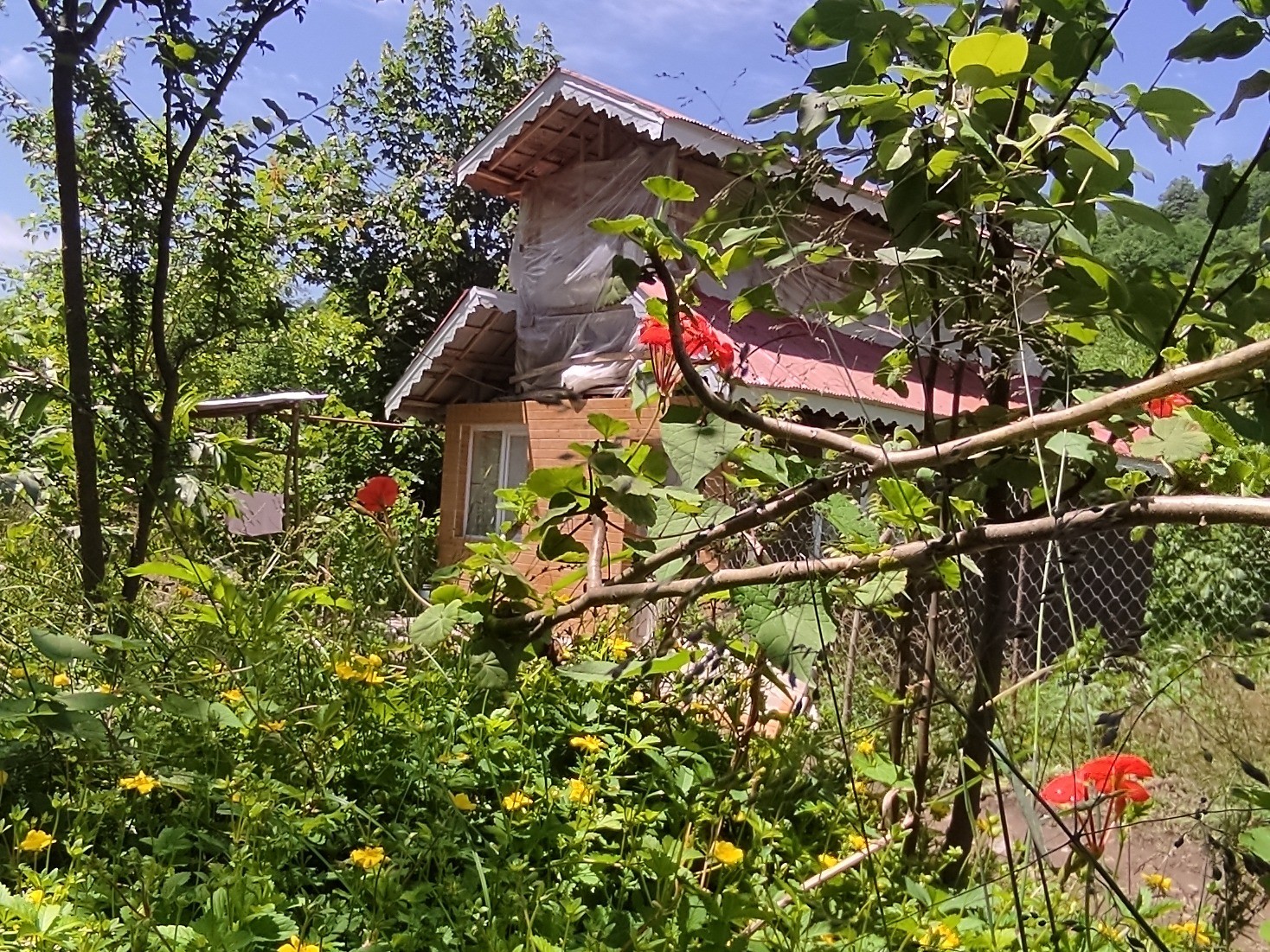 نمای بیرونی ساختمان