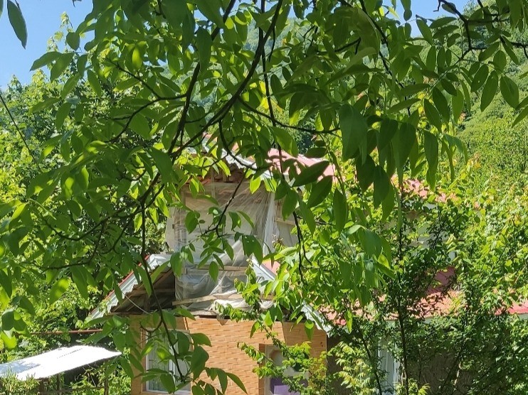 نمای بیرونی ساختمان