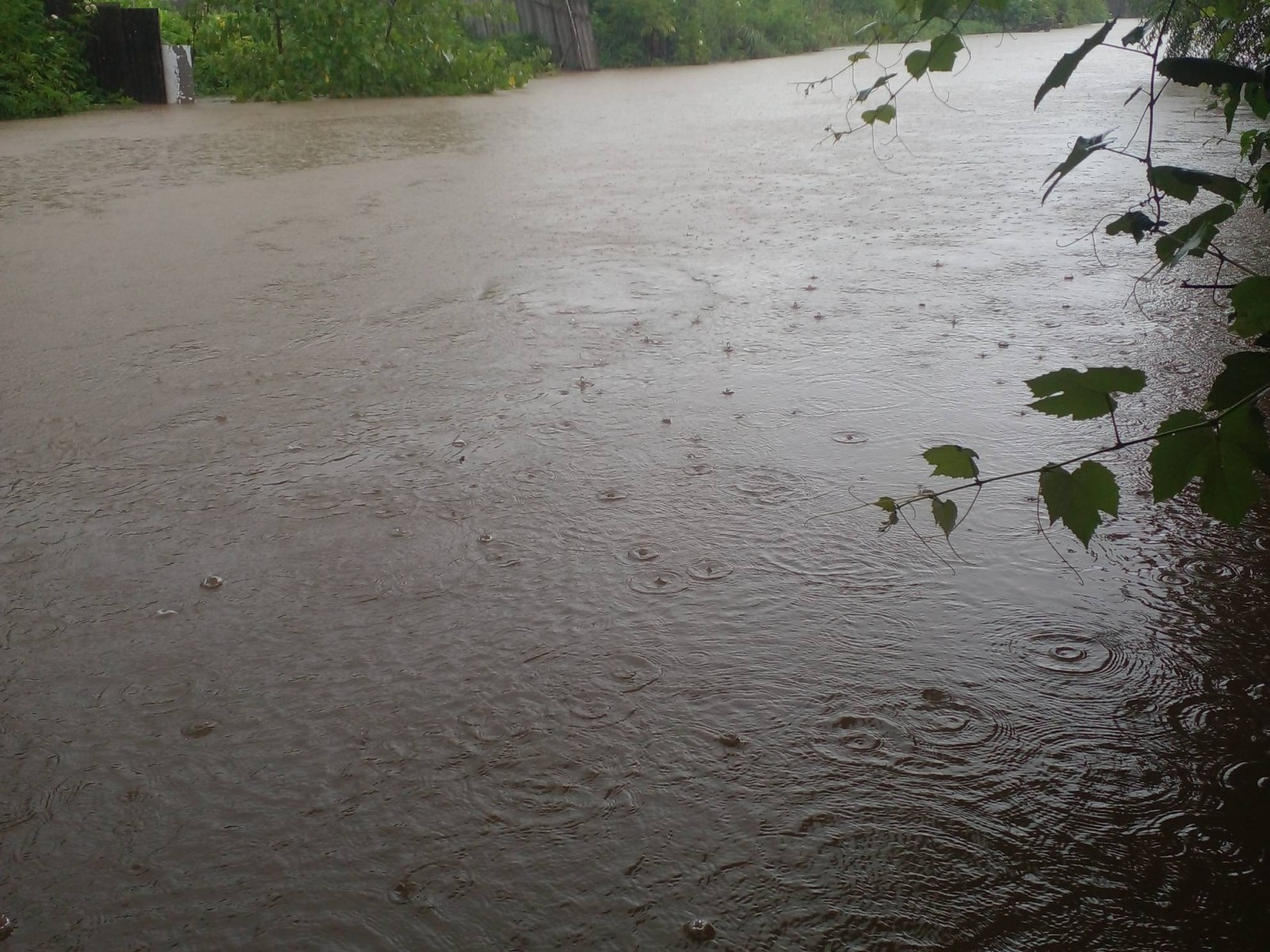 رودخانه داخل حیاط ویلا رودخانه داخل حیاط ویلا