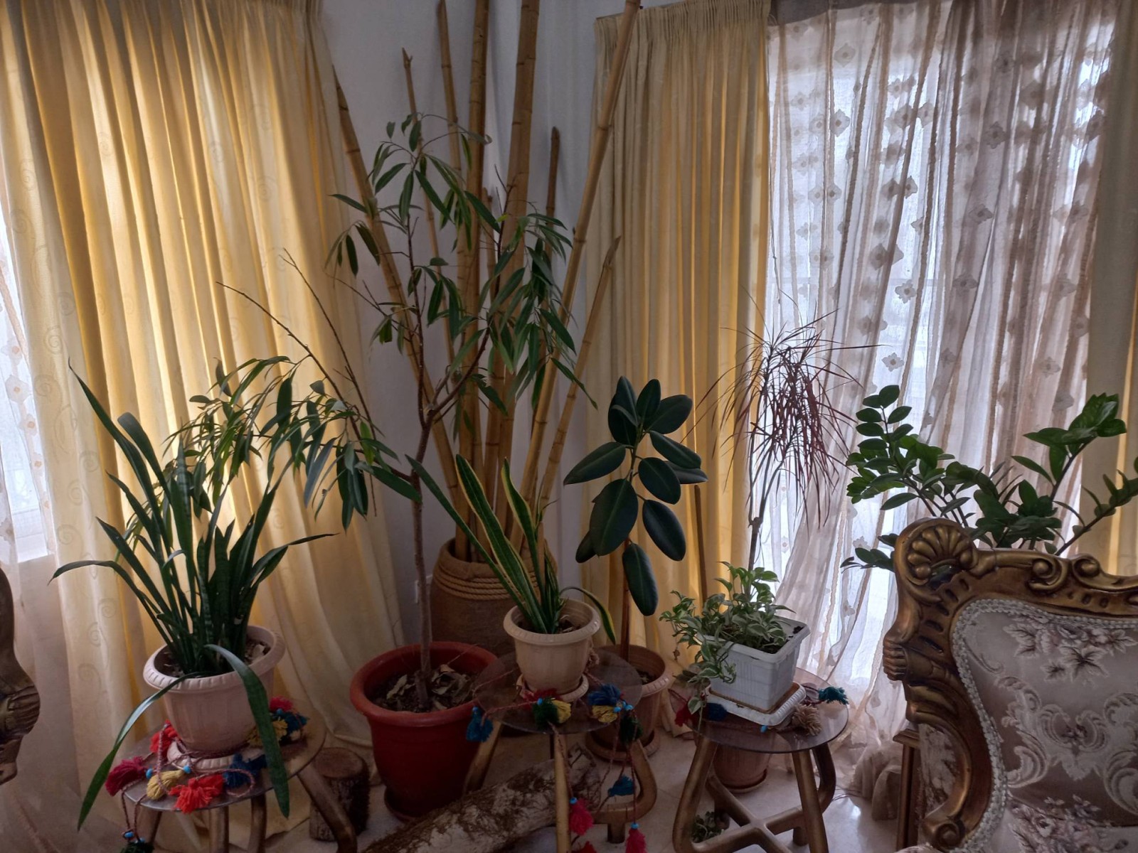 اتاق پذیرایی