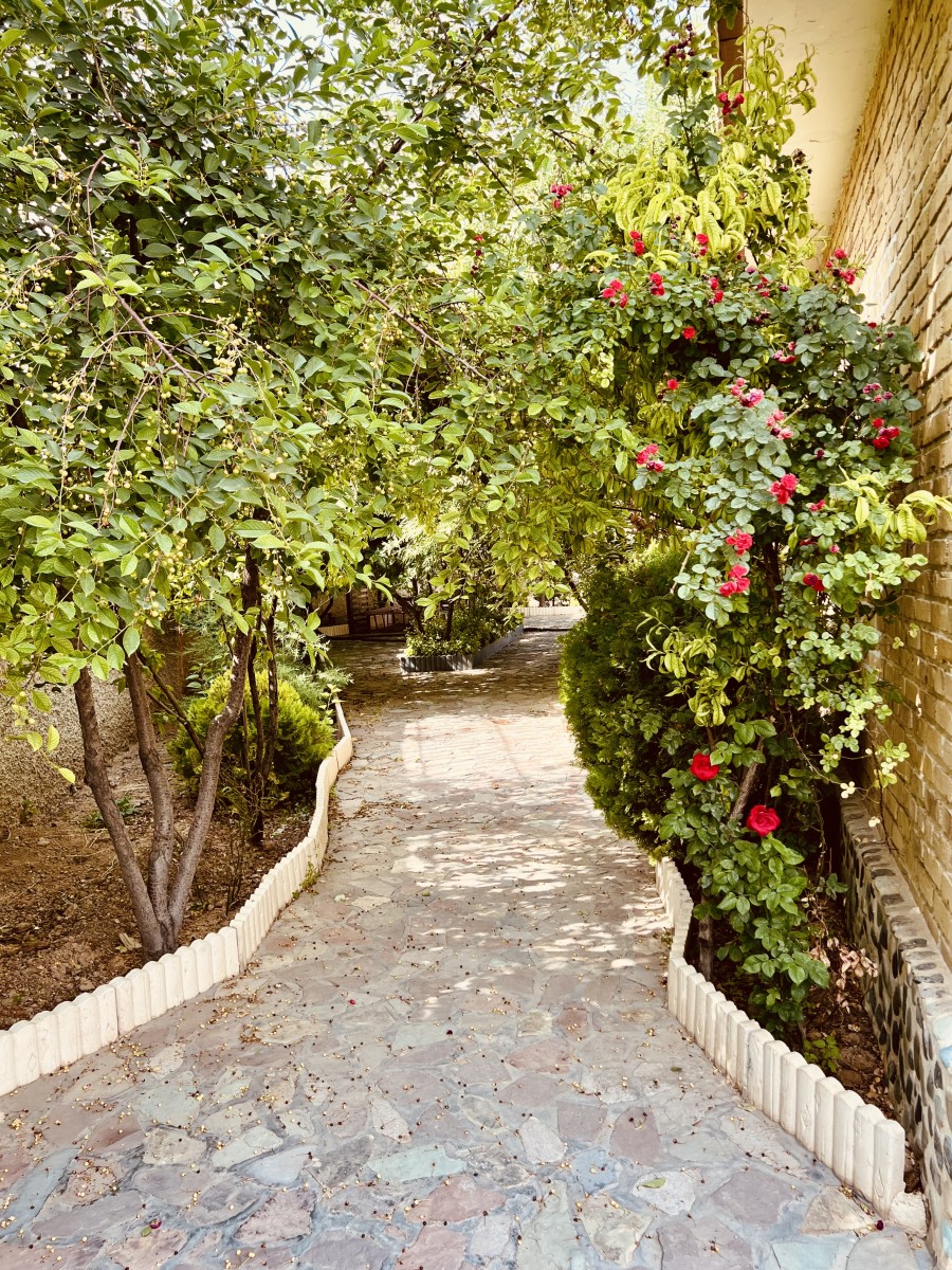 حیاط اقامتگاه