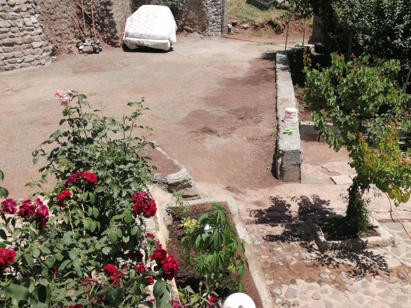 نمای بیرونی ساختمان