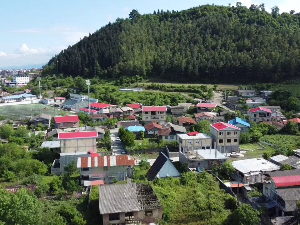 ویو رو به جنگل