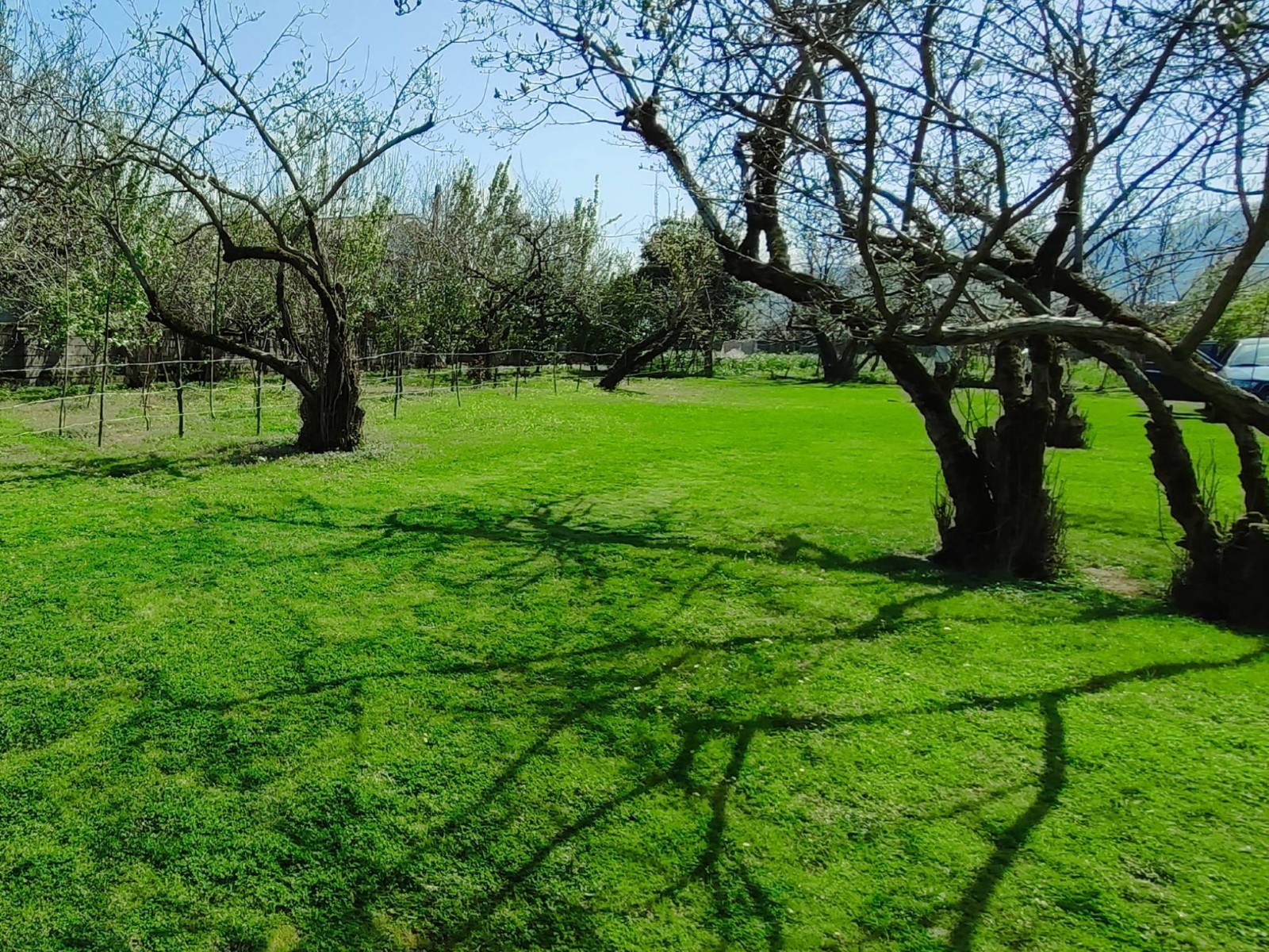 چشم انداز حیاط