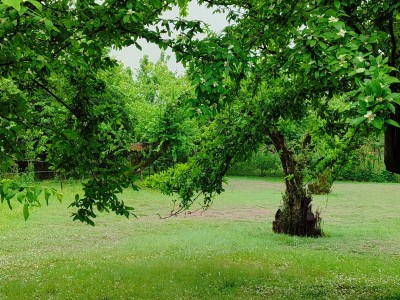 ویلای تک خوابه تندیس