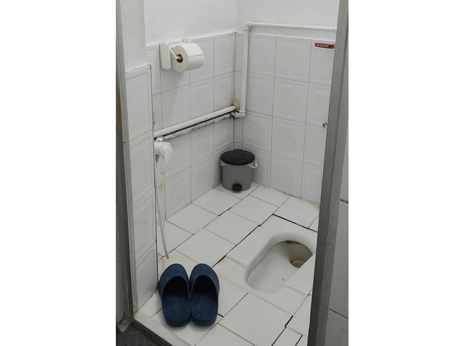 سرویس بهداشتی