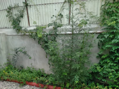 واحد ویلایی و دو خوابه با دسترسی عالی واحد ویلایی و دو خوابه با دسترسی عالی