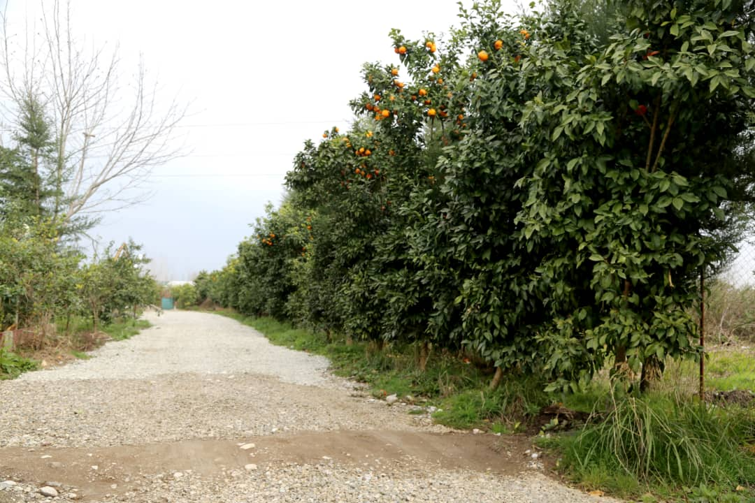 نمای بیرونی ساختمان