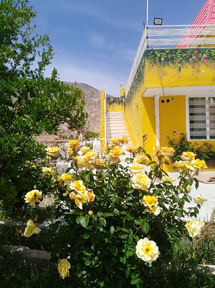 نمای ساختمان