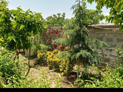 منزل ویلایی دربست دارای حیاط نزدیک به دریاچ دریابک