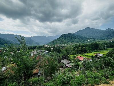 واحد ویلایی تک خوابه جنگلی