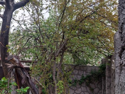 خانه ویلایی تک خواب
