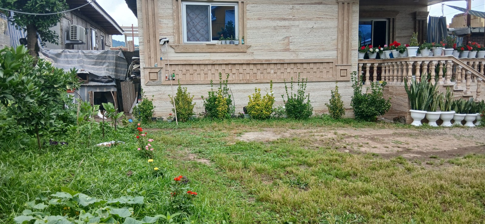 نمای ساختمان نمای ساختمان