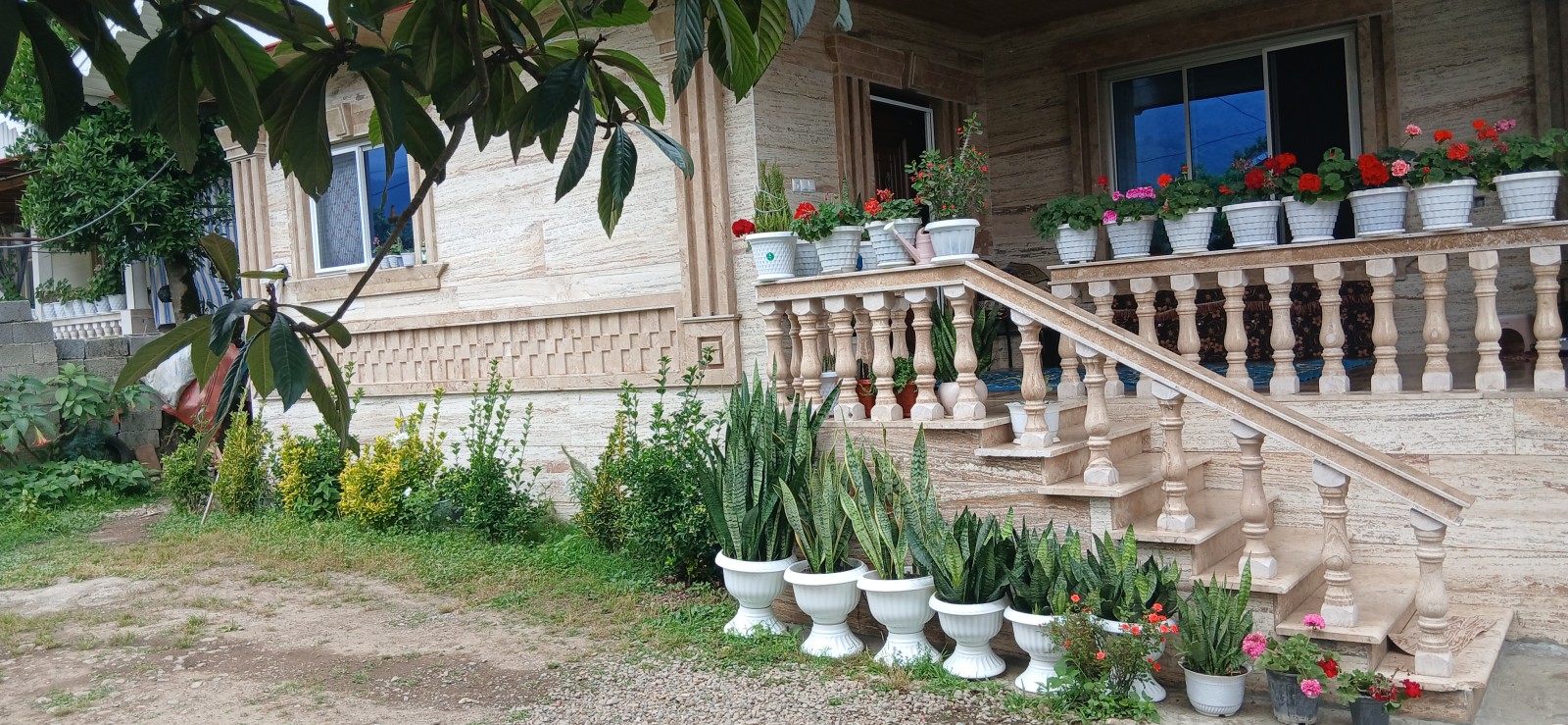 نمای ساختمان نمای ساختمان