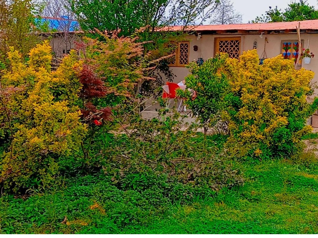 نمای بیرونی ساختمان
