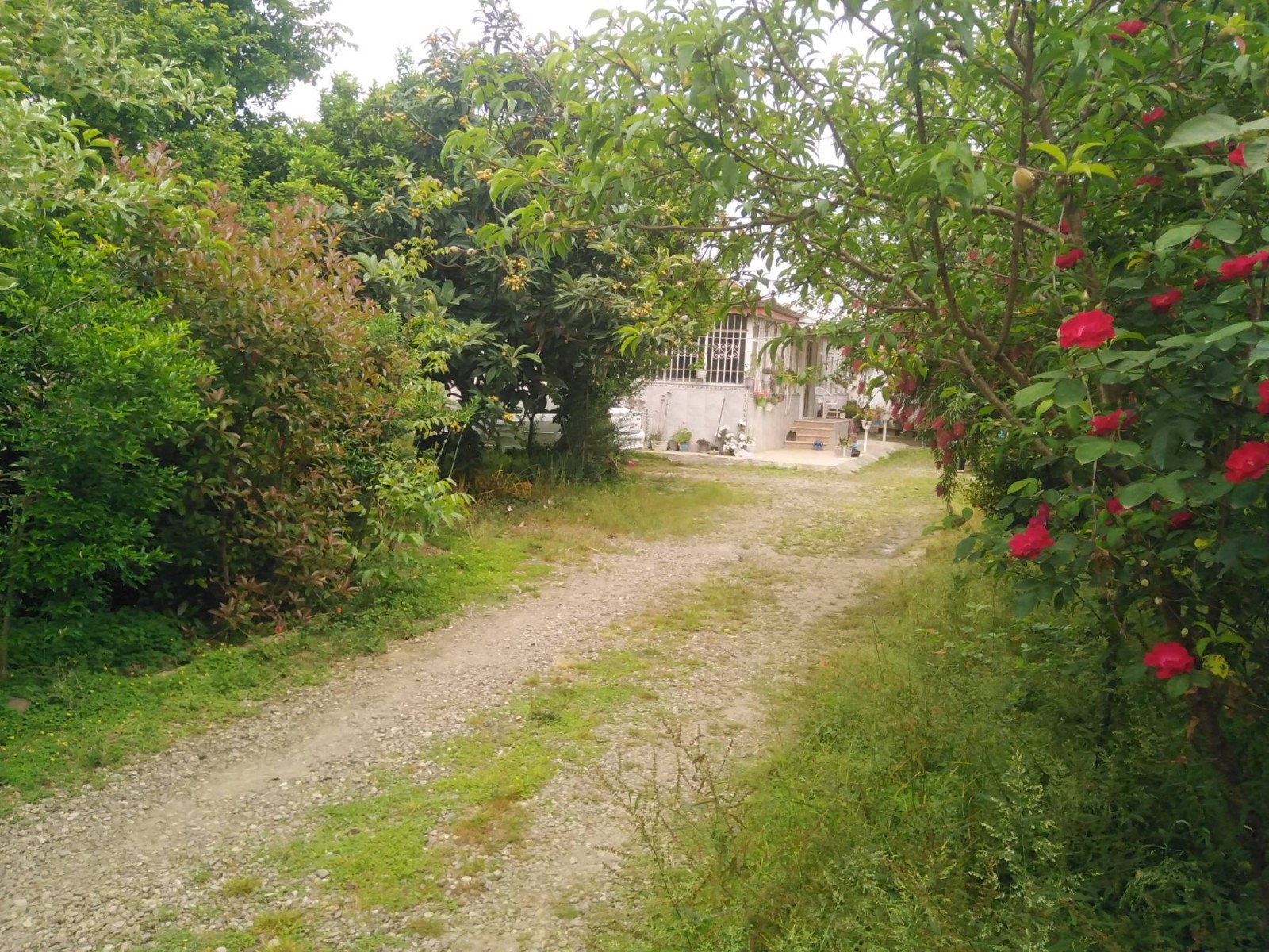 نمای بیرونی ساختمان نمای بیرونی ساختمان