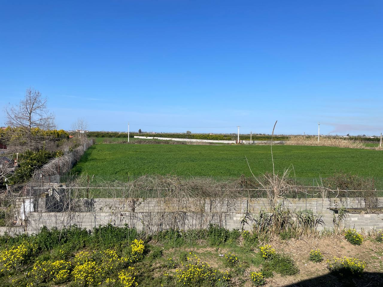 نمای بیرونی ساختمان