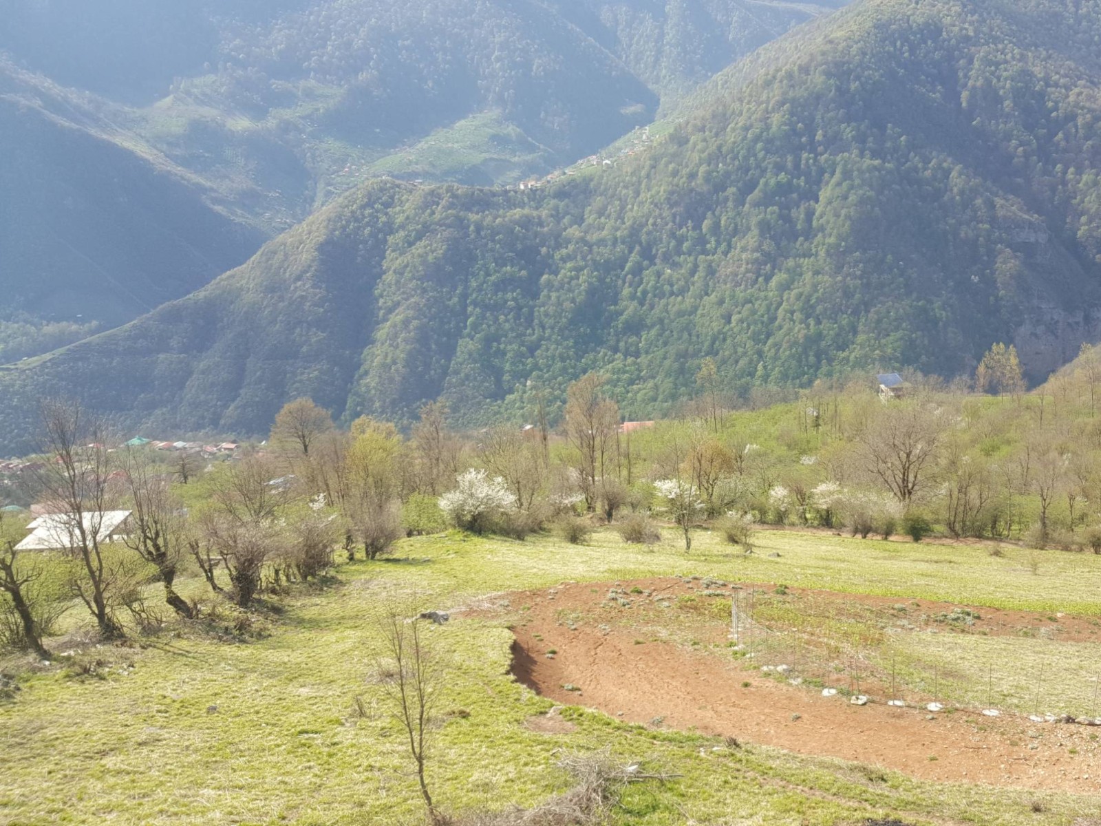 نما بیرونی ویلا