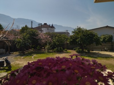 ویلاباغ  دو خوابه آریا ویو جنگل