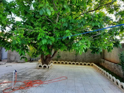 ویلای وارین در لرستان